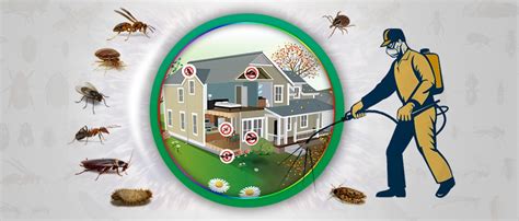 affordable pest exterminator company in my area